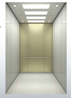 Titanium Gold Hairline Elevator